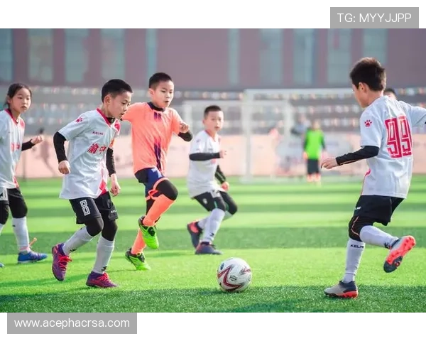 人人看球：专业足球分析与实况转播让你第一时间了解比赛精彩瞬间