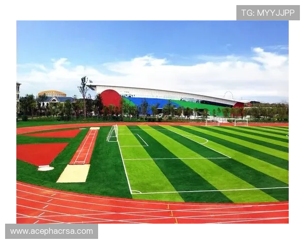 快鱼体育为青少年打造的特色体育营地和户外拓展项目介绍