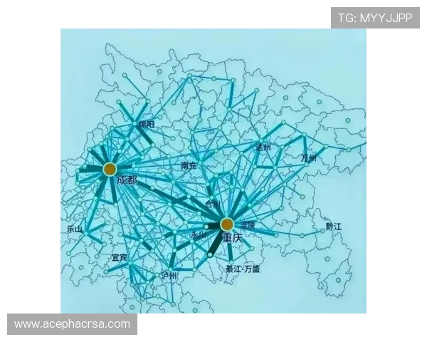 未来世界杯举办城市的选择标准与各候选城市的优势分析