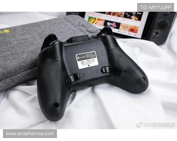 如何选择靠谱的ued体育注册平台确保资金安全与优质游戏体验详尽分析
