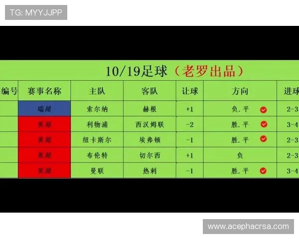 深入解析竞彩足彩310预测技巧，提升你的投注成功率与盈利能力